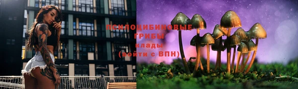 метадон Богородицк