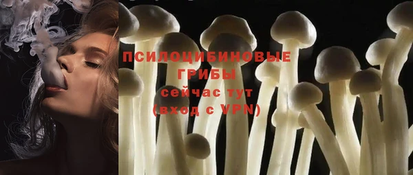 стаф Богородск