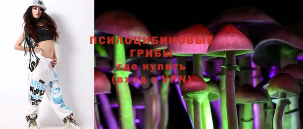 стаф Богородск