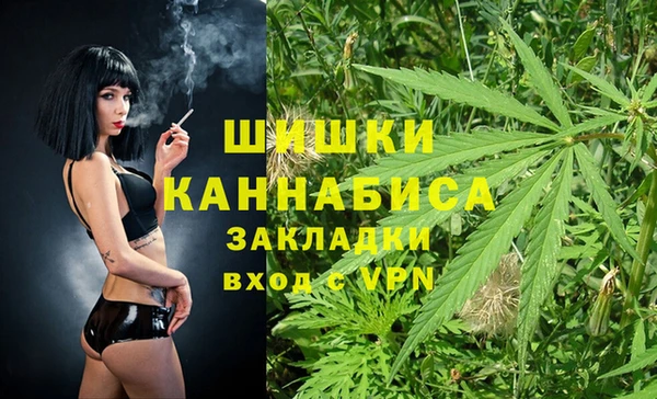 стаф Богородск