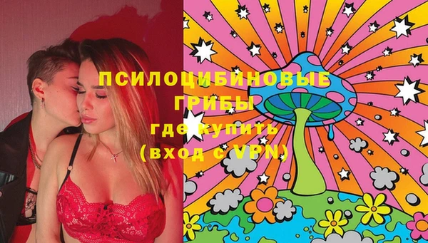 метадон Богородицк