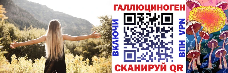 Купить  Волгореченск  Галлюциногенные грибы Cubensis 