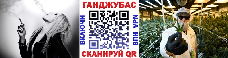 Купить где  Волгореченск  Шишки марихуана Amnesia 